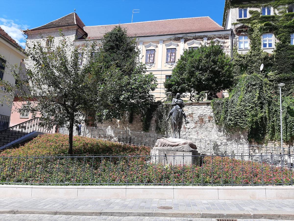 Azalea * Zagreb