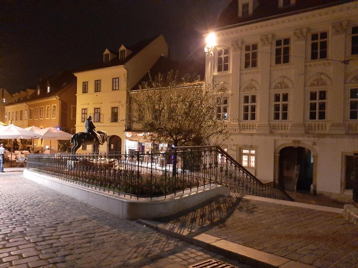 Azalea * Zagreb