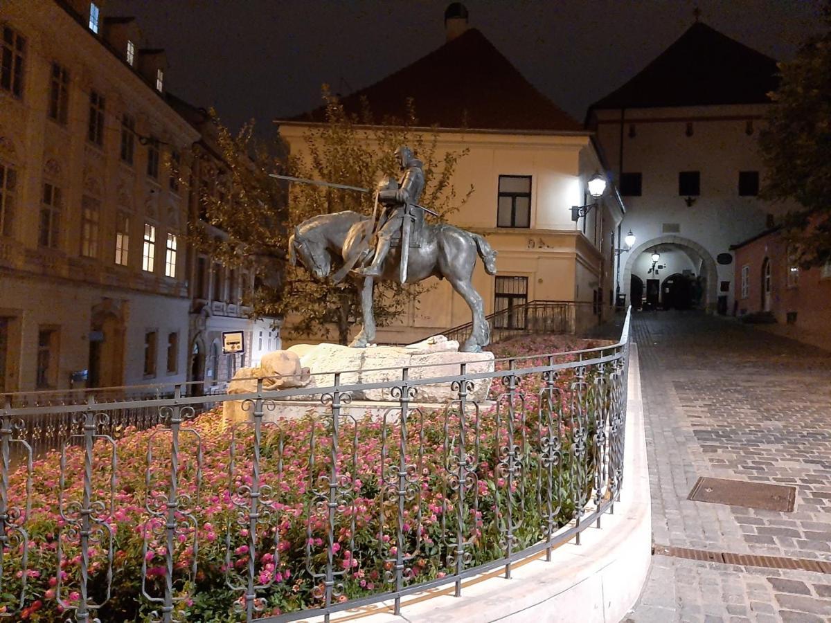 Azalea Zagreb